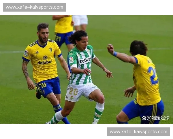 佐加顿斯vs赫根佐：冰岛足坛双雄的荣耀之战与绿色草坪上的永恒传奇